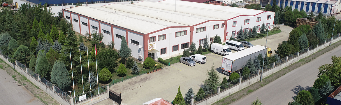 Balarısı Gıda San. ve Tic .A.Ş.
